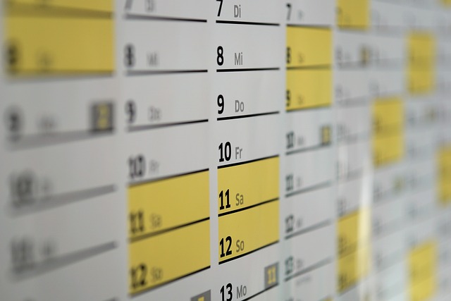 calendar, dates, schedule, days, wall calendar, year, meeting, office, planning, calendar, calendar, calendar, calendar, calendar, schedule, schedule